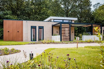 Schönes Ferienhaus in Voorhuizen mit Garten