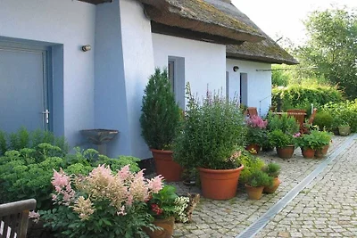 Ferienwohnung mit 1 Schlafzimmer