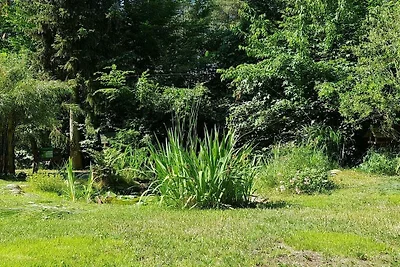 Vakantiehuis met 3 slaapkamers