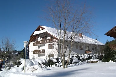 Haus an der Gutach Nr. 12