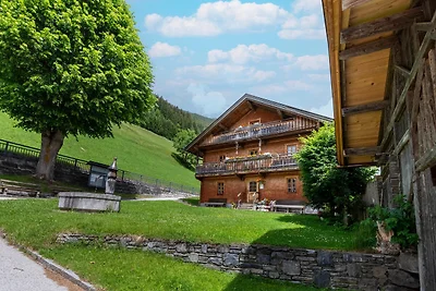 Chalet in Mayrhofen nahe Skipisten