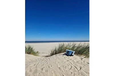 Ferienwohnung in Nes mit Schwimmbecken