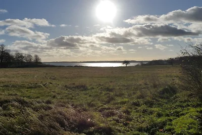 8 Personen Ferienhaus in Juelsminde-By Traum