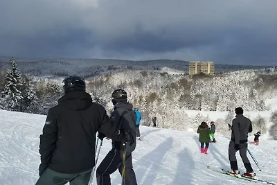 Buchfink im Haus Tanneneck