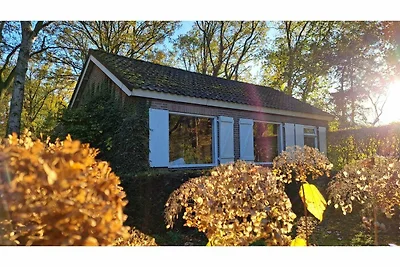 Casa vacanze a Vessem in mezzo alla foresta
