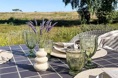 4 Sterne Ferienhaus in Læsø