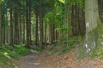 Ferienhaus in der Nähe des Schwarzatals