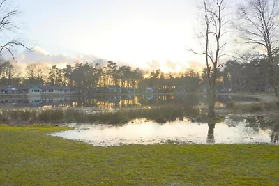 Schöner Bungalow, Natuurpark Vosseven 17 –...