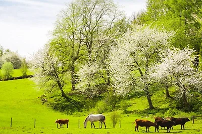 8 Personen Ferienhaus in ANNEBY-By Traum