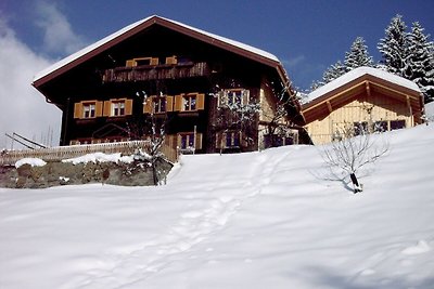 Appartement mit Blick auf Schruns