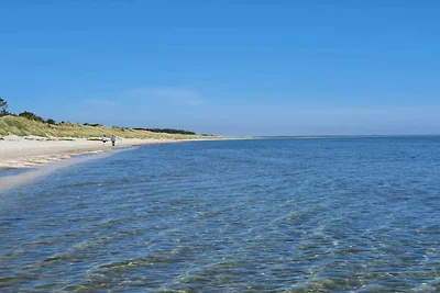 5 Personen Ferienhaus in Jerup-By Traum