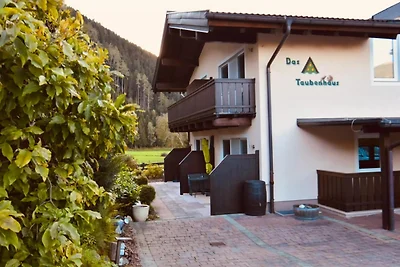 Apartment mit Terrasse in Hollersbach