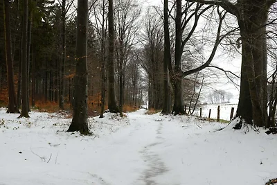 Stimmungsvolles haus mit Sauna