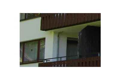 Schönes Leben 3