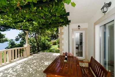 Apartments Plavac Mali- Comfort One Bedroom A...