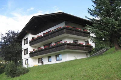 Birke im Hoefle
