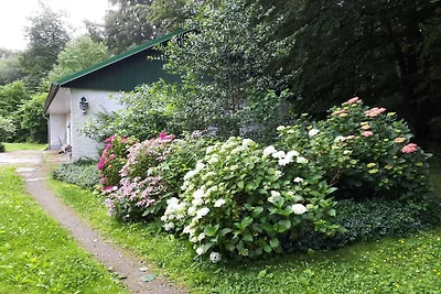 Ferienhaus in Ulsnis mit Schwimmbecken