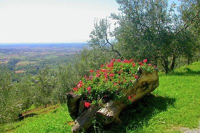 Geräumiges Ferienhaus in Cortona mit...