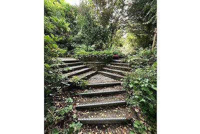 Noah -Seeleben auf Zeit