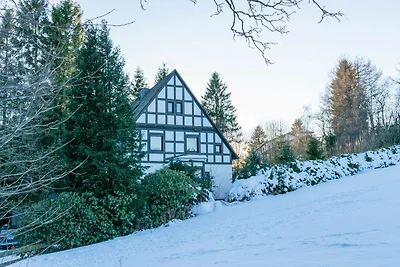 Gemütliches Chalet an den Skipisten