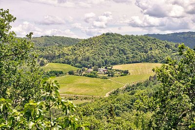 Wohnung in Greve in Chianti mit Garten