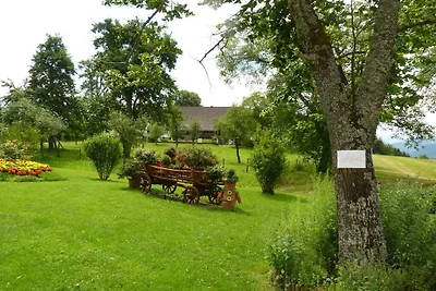 "Zak" Klopeiner See