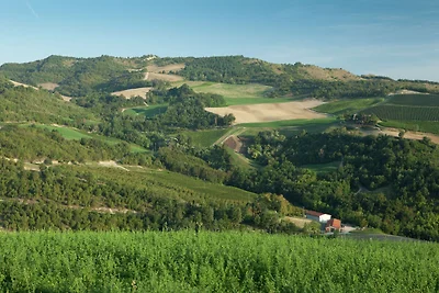 Gemütliches Ferienhaus in Tredozio mit Grill