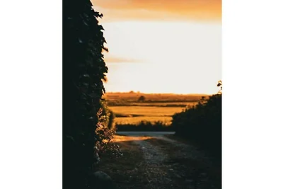 Ferienhaus in Midlum mit Schwimmbecken