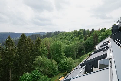 Charmant vakantieappartement in Winterberg me...