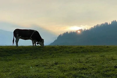 Hirschsprungblick