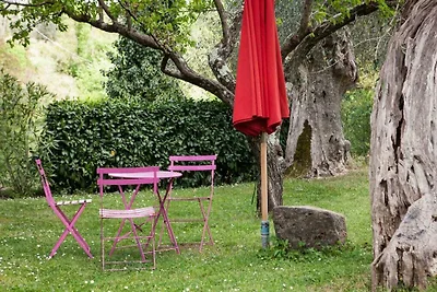 Casa La Fonte - Olivastra