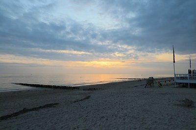 Schlafstrandhaus am Strand von Dishoek