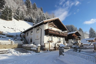 Skigebietsnahe Wohnung in Stuhlfelden