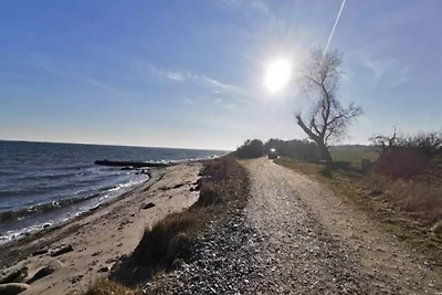 6 Personen Ferienhaus in Rudkøbing-By Traum