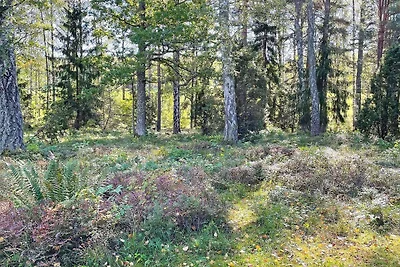 Maison de vacances pour 6 a Vingåker-By Traum