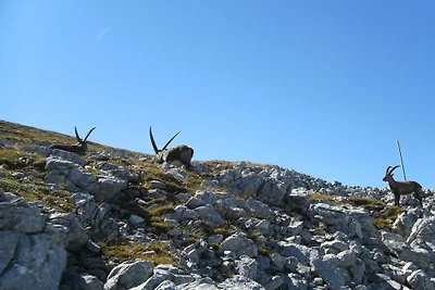 Appartamento per vacanze a Berchtesgaden con...