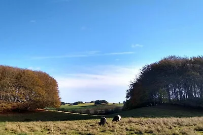 4 Personen Ferienhaus in Østervrå-By Traum