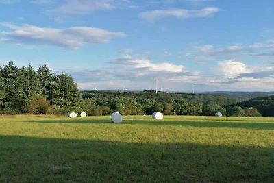 In der Region (Sommer) (>5 km) In der Region (Sommer) (>5 km)