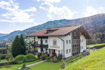 Apartment nahe Skigebiet Gerlitzen