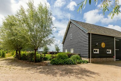 Schönes Ferienhaus in Grijpskerke mit Garten