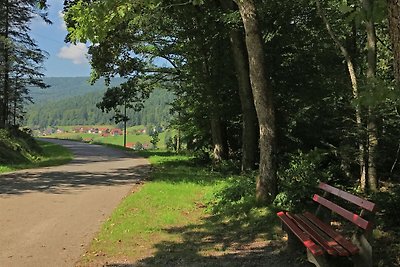 Ferienwohnung Panoramablick in Baiersbronn