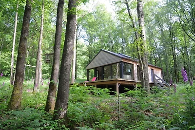 Chalet moderno situato nel bosco