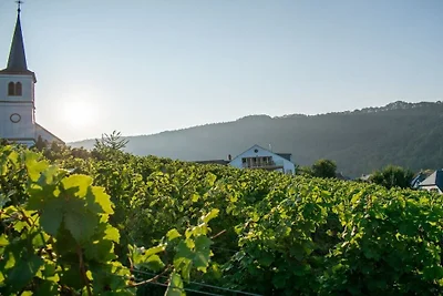 Auf dem  Weingut Johanneshof