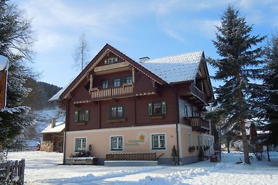 Schönes Landhaus in der Nähe des Skigebietes ...