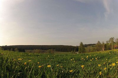 Doppelhaushälfte in Hasselfelde