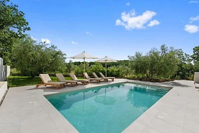 Villa in Vintijan mit privatem Pool
