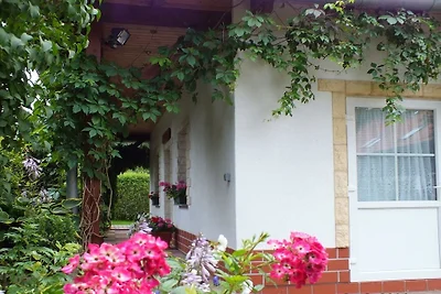 Ferienhaus Erholungsurlaub Oberharz am Brocken
