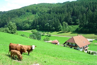 Schwarzwald-Bauernhaus in reizvoller Lage