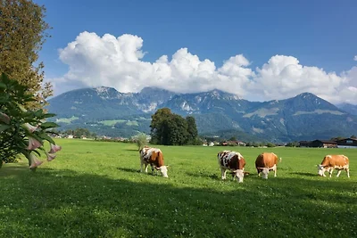Grünstein - Pensione Dankllehen