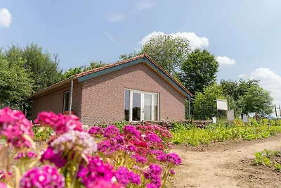 Ferienhaus am Waldrand und am Fluss Maas.